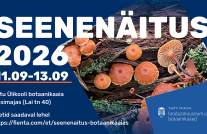 Seenenäitus