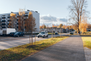 Tüve