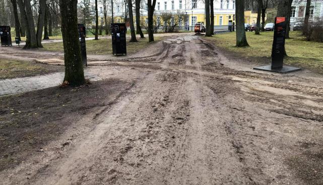 Toomemägi