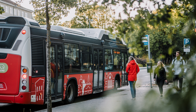 Buss