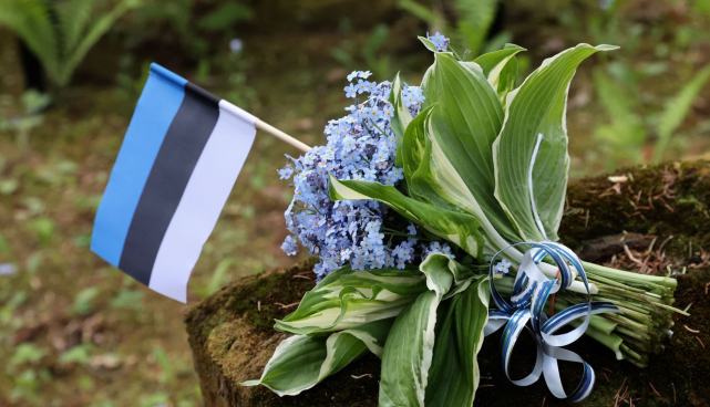 Eesti lipp