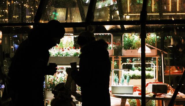 Christmas fair