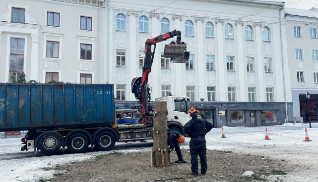 Из тартуской рождественской елки сделают домики для птиц и ступени для походной тропы