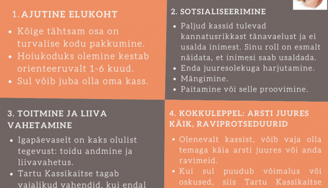 Üleskutse: kassid vajavad kiiresti ajutisi hoiukodusid Tartus