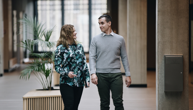Mentorlusprogramm