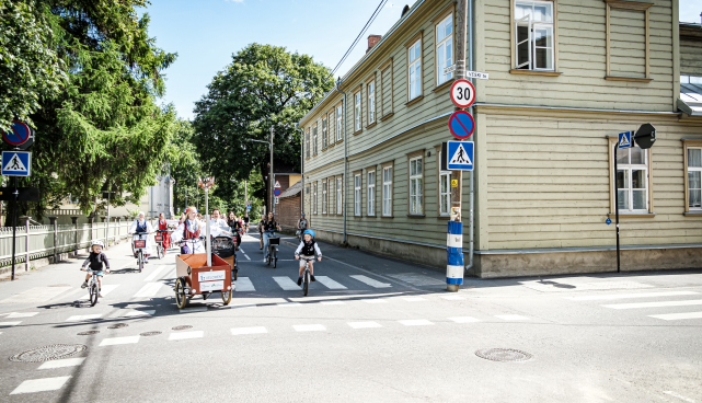Näituse tn