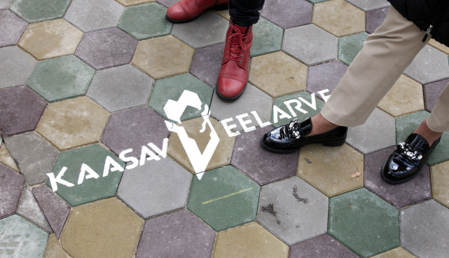 Kaasav eelarve