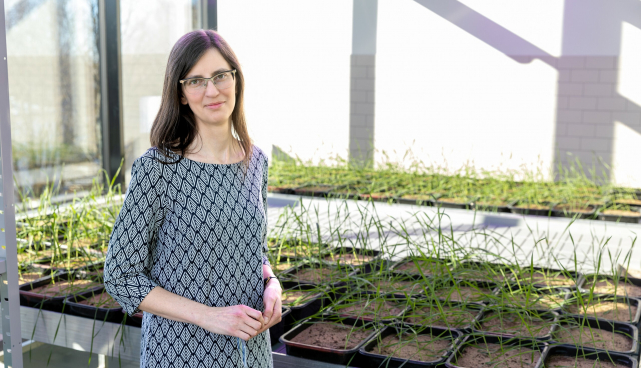 Evolutsioonilise taimeökoloogia professor Marina Semtšenko taimelava ees