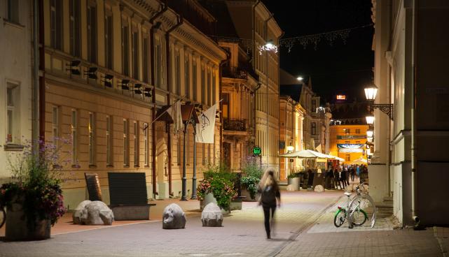 Rüütli tn
