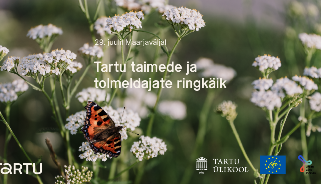 Ürituse plakat kujutab õiel istuvat liblikat
