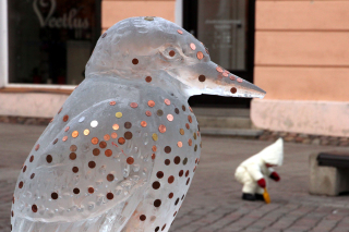 Foto: Juhan Voolaid