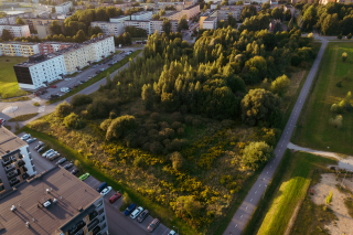 Foto: Kaupo Kütt