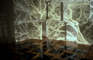 Chrisse Candolin „Fragments“ (2023)