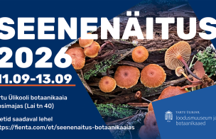Seenenäitus